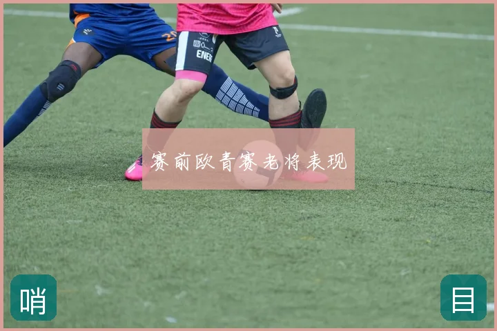 赛前欧青赛老将表现