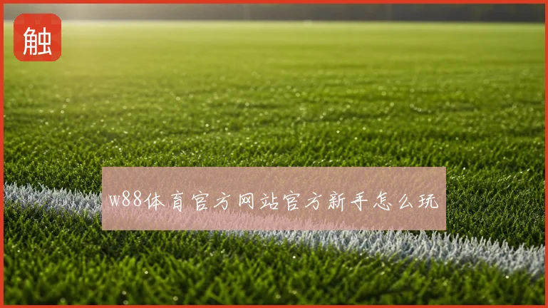 w88体育官方网站官方新手怎么玩